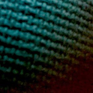 Meet your Posher, Dilsia